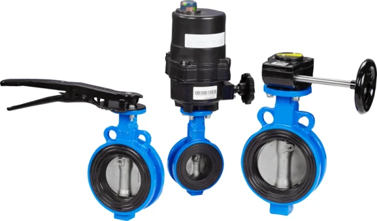 High Class Waterproof 2 Inch DN50 3 Inch DN80 Ductile Iron Wafer Type Motor Control Actuator Electric Butterfly Valve