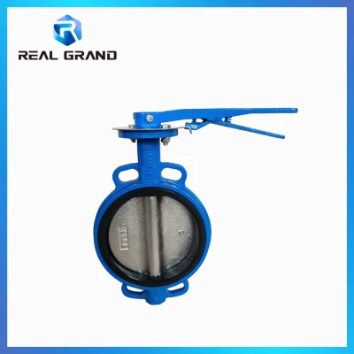 High Class Waterproof 2 Inch DN50 3 Inch DN80 Cast Iron Wafer Type Motor Control Actuator Electric Butterfly Valve